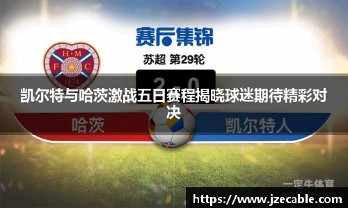 摩根综合体育官网